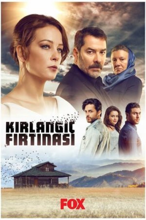 Шторм ласточки постер